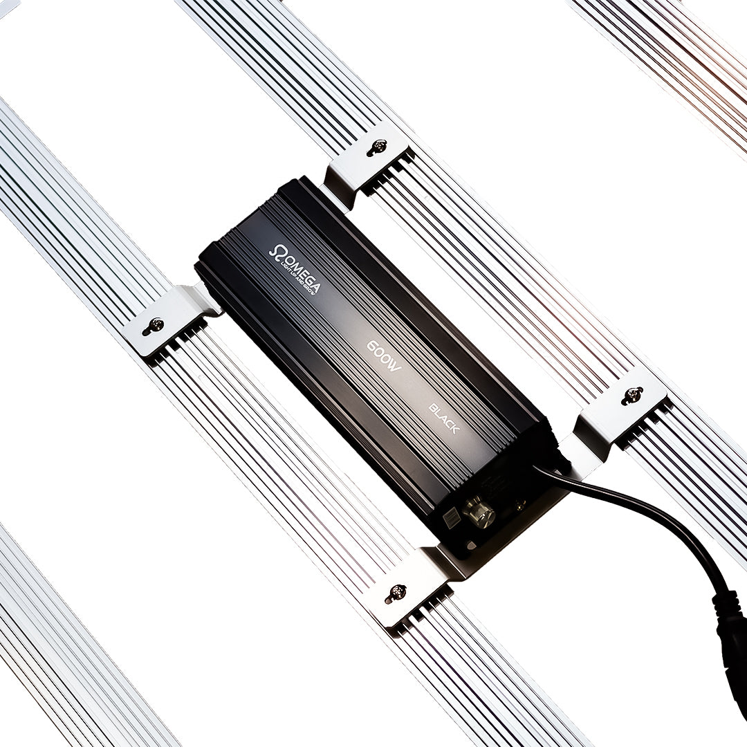 Omega Black 720W LED + Ballast
