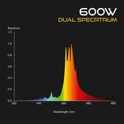 Omega Eurowing 600W Black Digi Kit