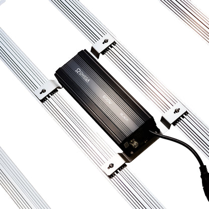 Omega Black 720W LED + Ballast