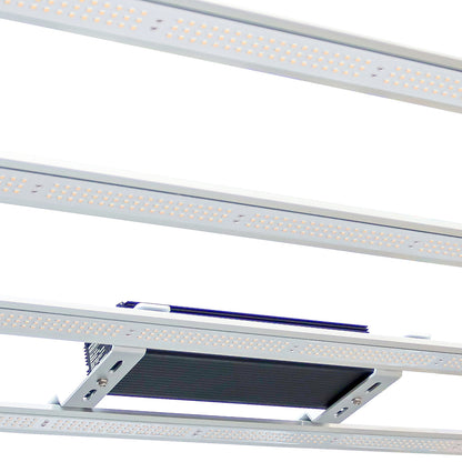 Omega Black 720W LED + Ballast